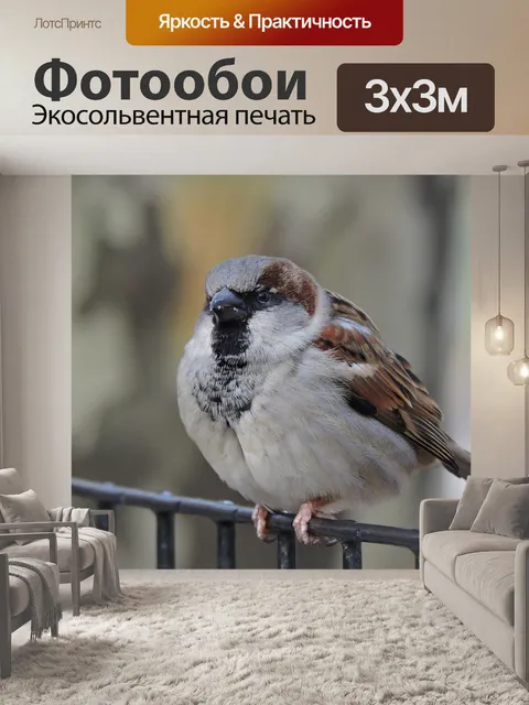 Фотообои Птица