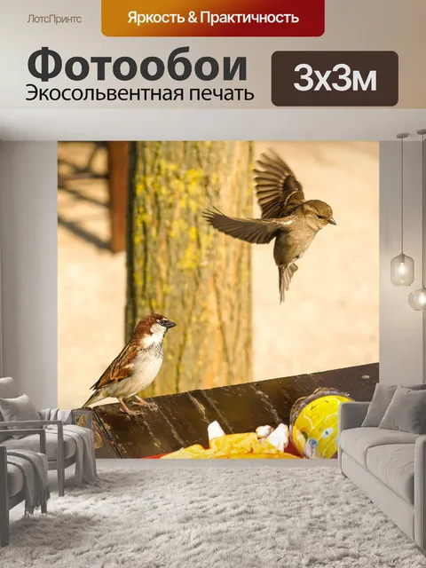 Фотообои Птицы