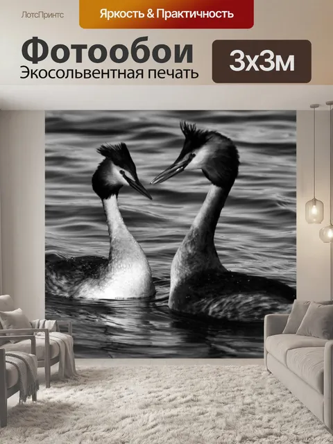Фотообои Птицы