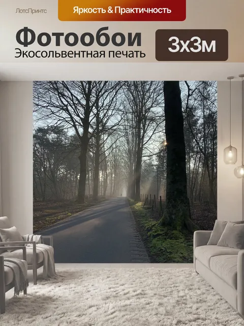 Фотообои Дорога