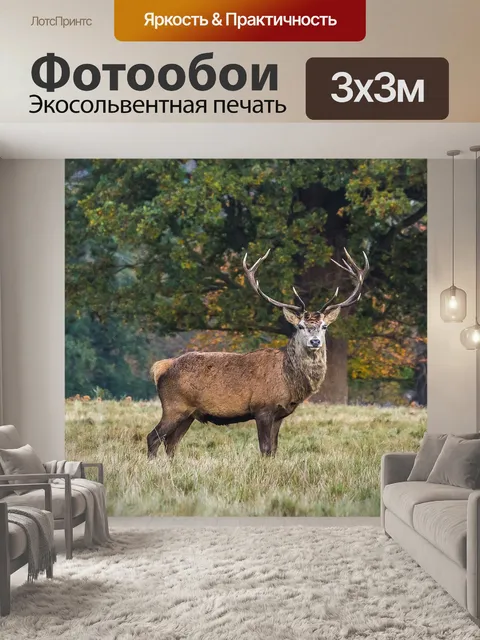 Фотообои Олень