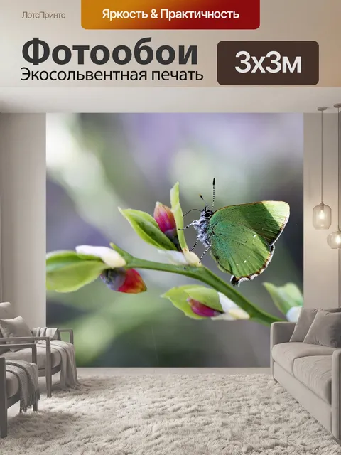 Фотообои Бабочка
