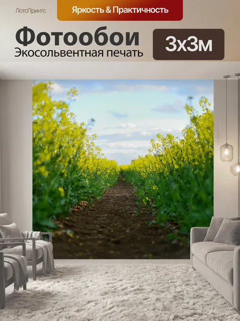Фотообои Поле