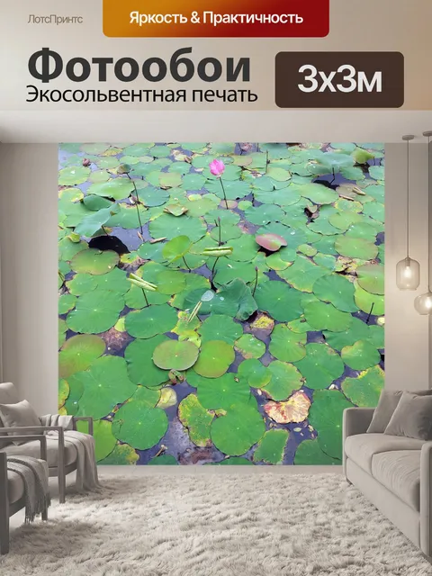 Фотообои Листья лотоса на пруду