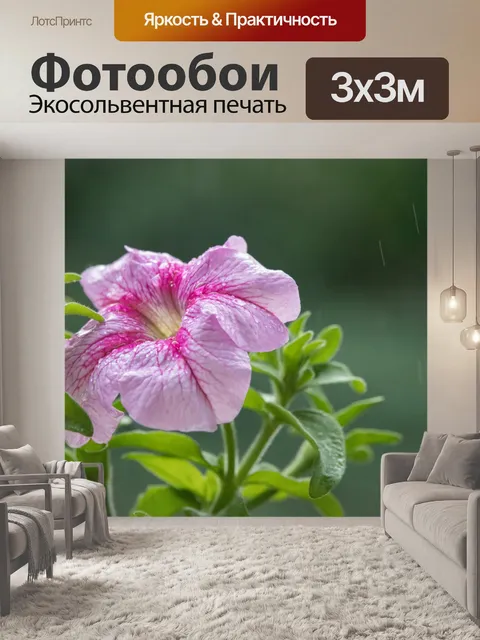 Фотообои Балконные цветы после дождя
