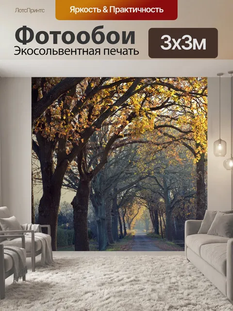 Фотообои Проспект
