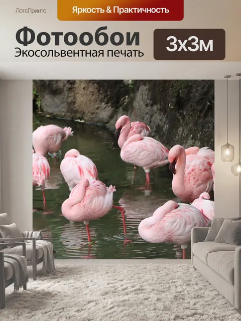 Фотообои Фламинго