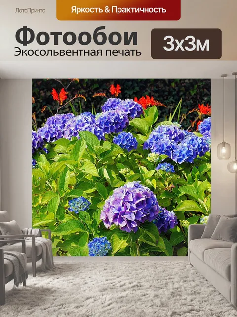 Фотообои Гортензии