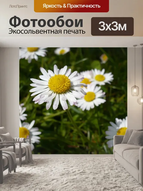 Фотообои Цветы