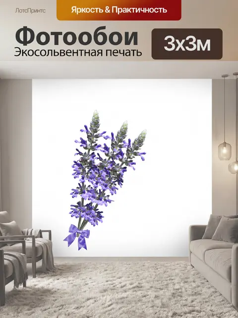 Фотообои Цветы лаванды изолированные