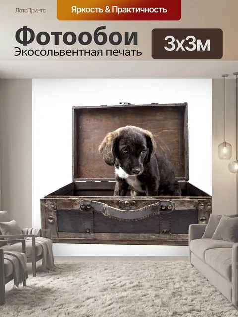 Фотообои Щенок с чемоданом
