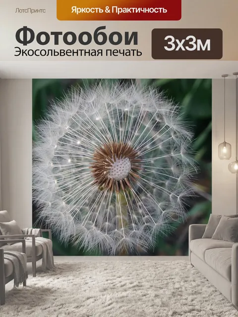 Фотообои Одуванчик