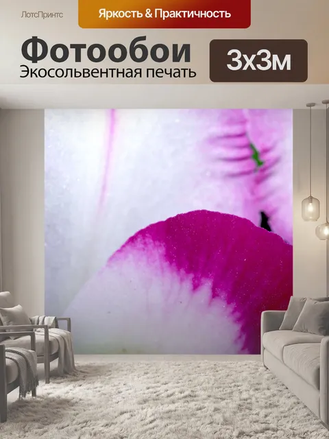 Фотообои Фото цветка орхидеи