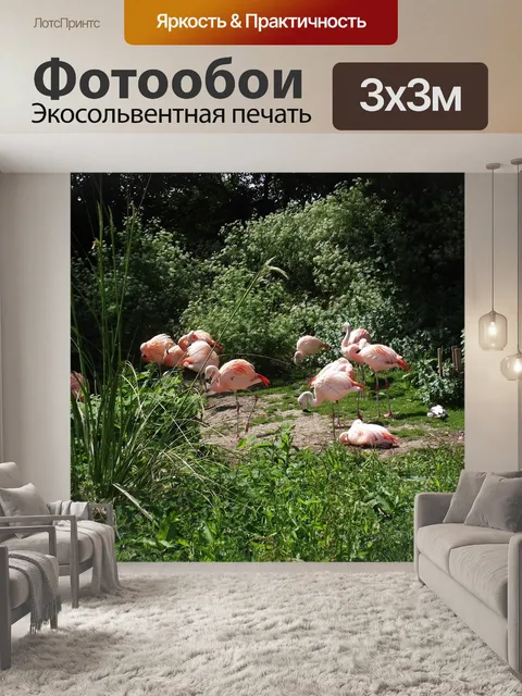 Фотообои Фламинго