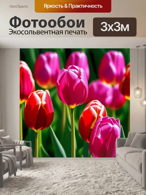Фотообои графика тюльпанов