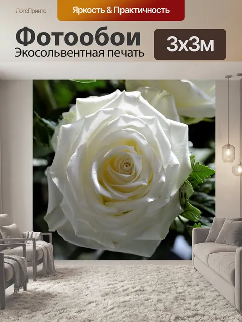 Фотообои Розы