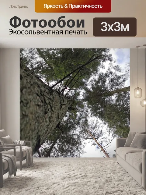 Фотообои Деревья