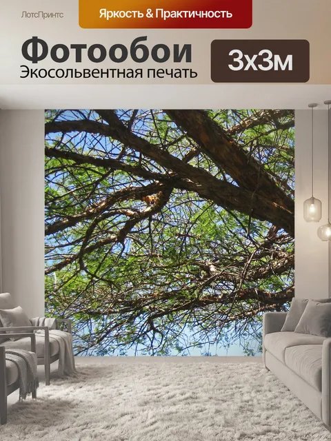 Фотообои голубое небо за раскидистыми ветвями