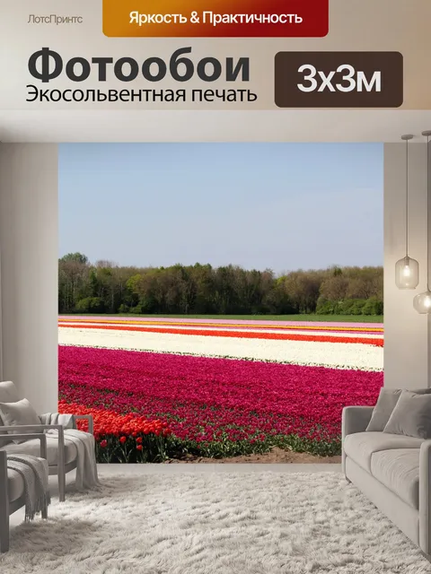 Фотообои Тюльпаны