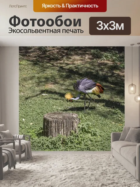 Фотообои Перья