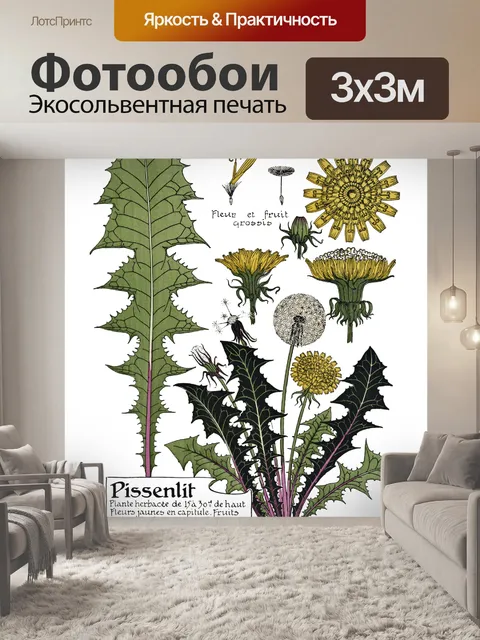 Фотообои Одуванчик Винтаж Ботаническое Искусство