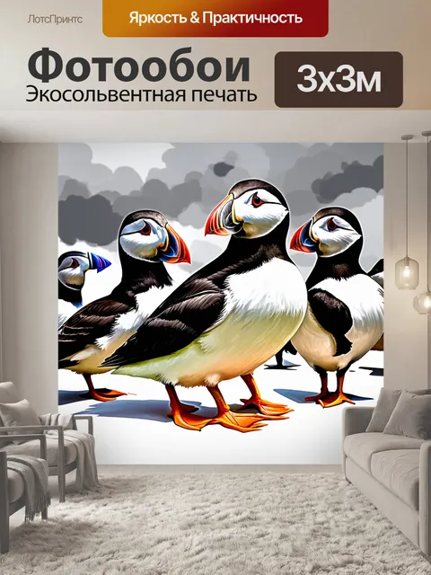 Фотообои птицы тупики на фоне облачного неба, где яркие цвета их перьев контрастируют с серыми облаками