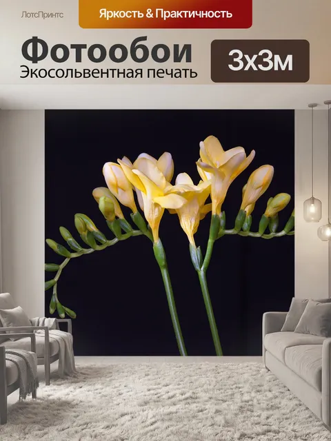 Фотообои Цветок