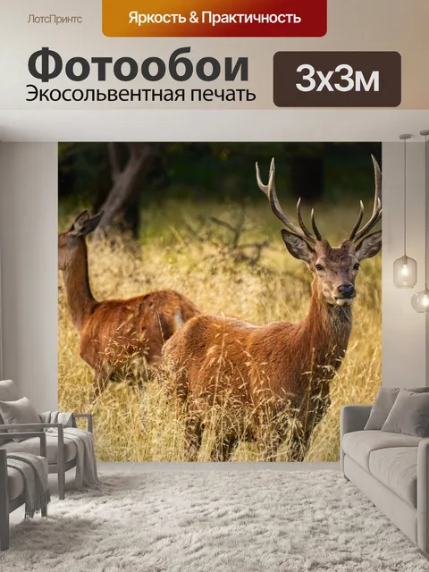Фотообои Олень