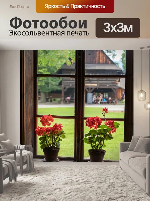 Фотообои Цветы в окне