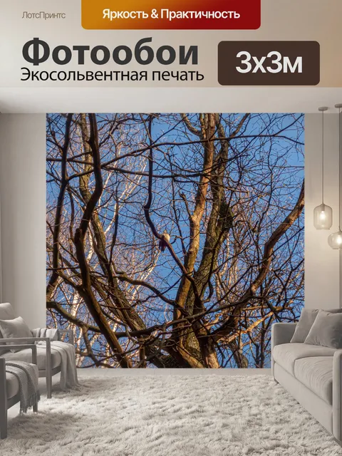 Фотообои Дерево