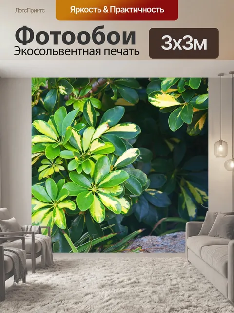Фотообои двухцветный зонтик в саду