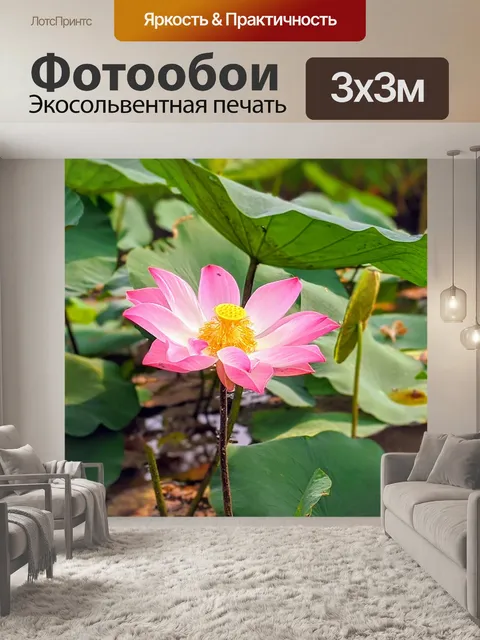 Фотообои Цветок лотоса