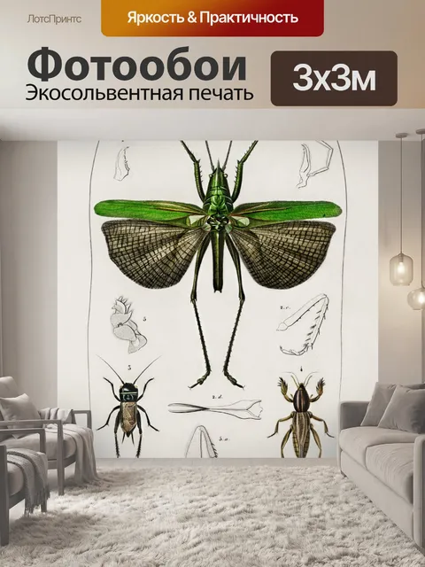 Фотообои Кузнечик Винтаж Плакат Искусство