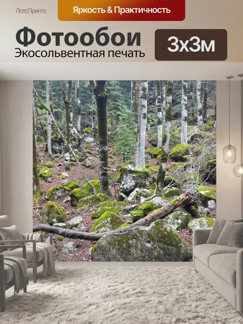 Фотообои Лес