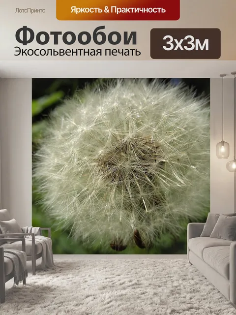 Фотообои Одуванчик