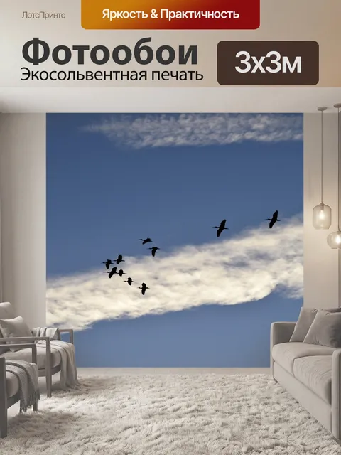Фотообои Цапли летающие