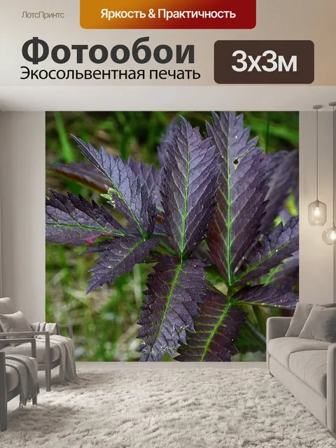 Фотообои Листья