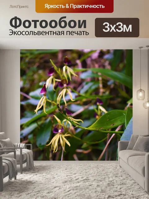 Фотообои Цветок