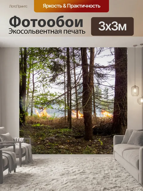 Фотообои Лесной пожар