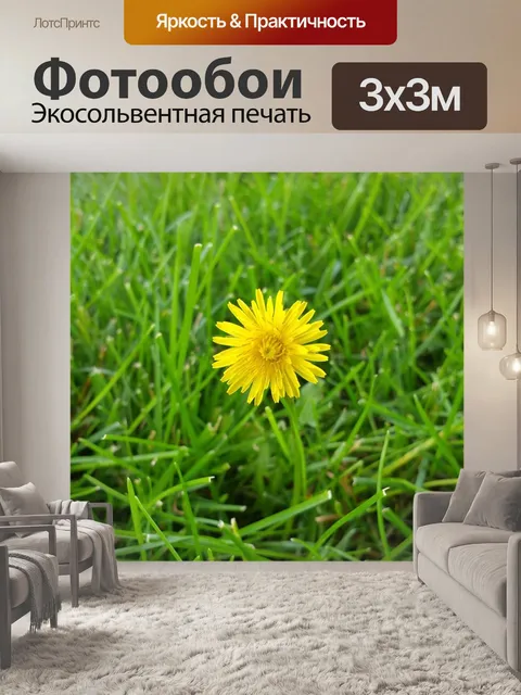 Фотообои Одуванчик