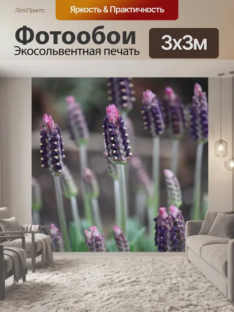 Фотообои Французская лаванда