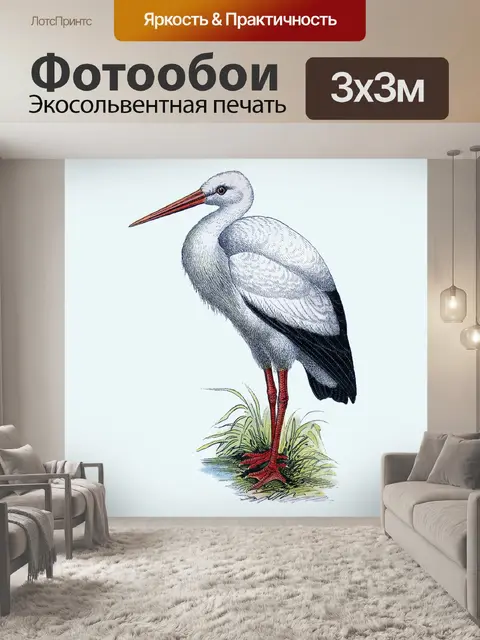 Фотообои Аист птица винтажный клипарт