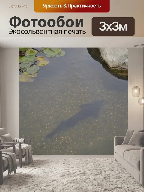Фотообои рыбы, водоём,