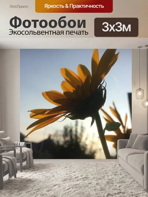 Фотообои Вечер