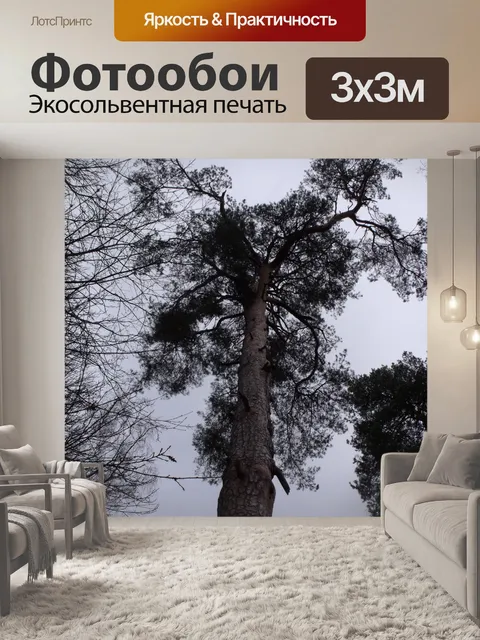 Фотообои Старая сосна