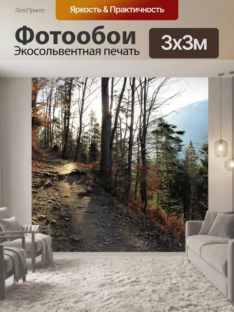 Фотообои Лесная тропа