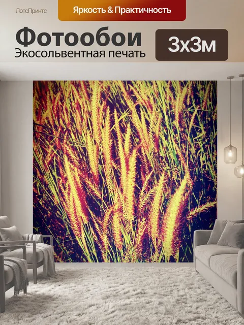 Фотообои Красивый цветок