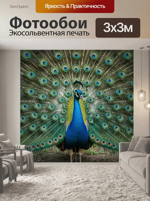 Фотообои Павлин с распущенным хвостом