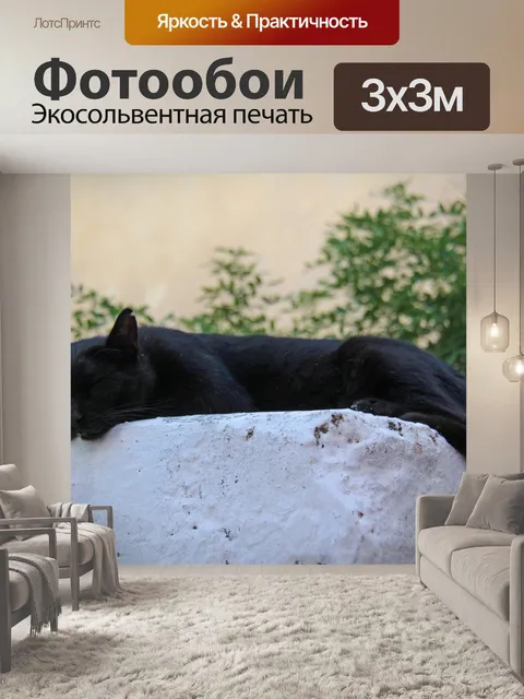 Фотообои Кошка