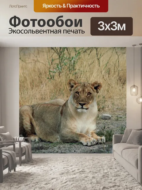 Фотообои Львица